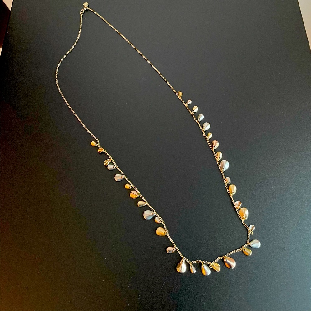 J Crew Mixed Metal Long Necklace